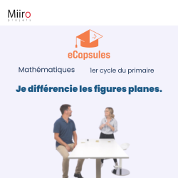 Je différencie les figures planes