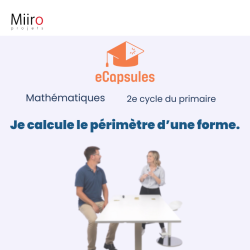 Je calcule le périmètre d'une forme